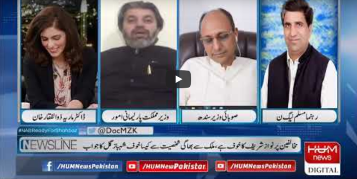 Newsline with Maria Zulfiqar 30th May 2020 Today by HUM News