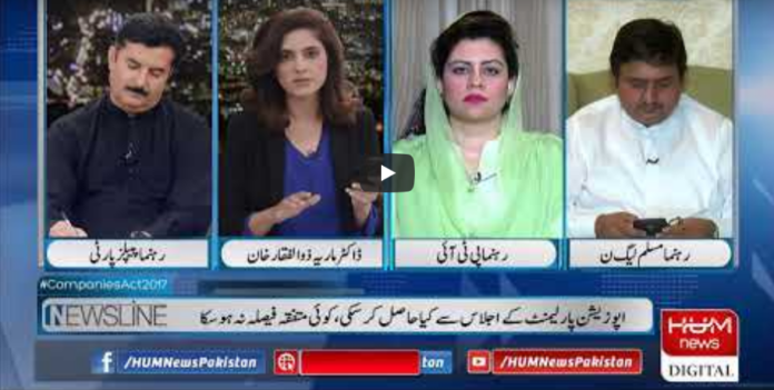 Newsline with Maria Zulfiqar 15th May 2020 Today by HUM News