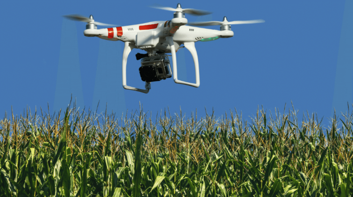 Govt Decides To Establish A Drone Regulatory Authority