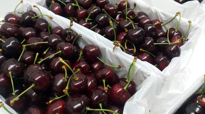 Cherry-Exports