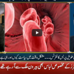 Jamhoor With Fareed Rais 1st May 2020 Today by Neo News HD Jamhoor With Fareed Rais 1st May 2020 Today by Neo News HD