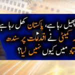 Naya Pakistan 16th May 2020 Today by Geo News Naya Pakistan 16th May 2020 Today by Geo News