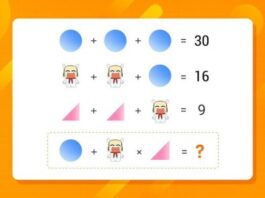 MIUI 12 global launch on May 19 MIUI 12