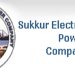 How to check Wapda SEPCO Sukkur Electric Power Company Electric Bill Online SEPCO