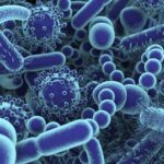 Pakistani Scientist’s Research on Viruses Ranks No 1 On Google Scholar Scientific Research on Virus