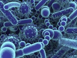Pakistani Scientist’s Research on Viruses Ranks No 1 On Google Scholar Scientific Research on Virus