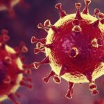 2.229 million people to die in Pakistan if lockdown not imposed? Coronavirus