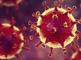 2.229 million people to die in Pakistan if lockdown not imposed? Coronavirus