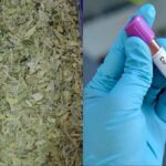 Is Sanna Makki a Herbal Cure for COVID-19 or a False Rumor?