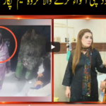 Pukaar with Anila Zaka 22nd August 2020 Today by Neo News HD Pukaar with Anila Zaka 22nd August 2020 Today by Neo News HD