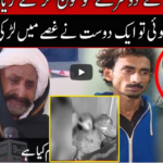 Pukaar with Anila Zaka 28th November 2020 Today by Neo News HD Pukaar with Anila Zaka 28th November 2020 Today by Neo News HD