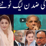 Khabar Hai 8th December 2020 Today by GNN News Khabar Hai 8th December 2020 Today by GNN News