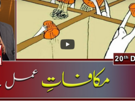 Meray Mutabiq 20th December 2020 Today by Geo News Meray Mutabiq 20th December 2020 Today by Geo News