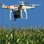 Govt Decides To Establish A Drone Regulatory Authority Govt Decides To Establish A Drone Regulatory Authority