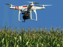 Govt Decides To Establish A Drone Regulatory Authority Govt Decides To Establish A Drone Regulatory Authority