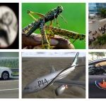 Year 2020 Ends- Here Is A Timeline of Major Events happened In Pakistan Year 2020 Ends- Here Is A Timeline of Major Events happened In Pakistan