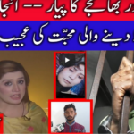 Pukaar with Anila Zaka 20th February 2021 Today by Neo News HD Pukaar with Anila Zaka 20th February 2021 Today by Neo News HD
