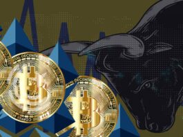 Cryptocurrencies Surge To Highest Level Continuously Crypto Bull