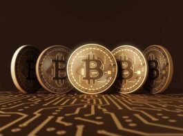 Bitcoin: 300 billion loss in 24 hours Bit Coin