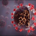 Britain And South Africa’s ‘Mutated Virus’ Is Spreading In Pakistan: Research Covid 19