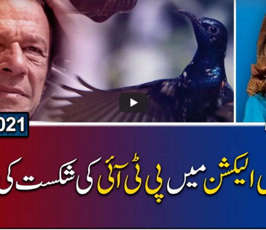 Report Card 6th May 2021 Today by Geo News Report Card 6th May 2021 Today by Geo News