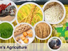 The Government Aims To Cultivate 220 Million Acres: Cheema Pakistan Agriculture