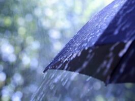 PDMA Issues Warning for Heavy Rains and Floods in Punjab Rain