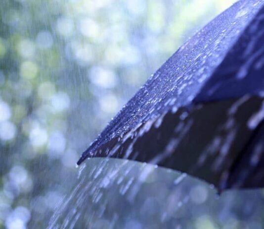PDMA Issues Warning for Heavy Rains and Floods in Punjab Rain