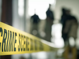 Remains of Missing German Man Found in Freezer in Thailand