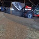 Russian Strikes Decimate 60,000 Tons of Grain in Black Sea Ukrainian Port