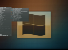 How to Use Sergie Sterlec Rescue Disk & What is it?