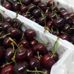 Cherries from Pakistan Head to China’s Markets For the First Time Cherry-Exports