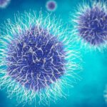 Disease Outbreak in Upper Egypt Prompts Stricter Flight Health Measures a Virus or Bacteria