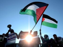 Champions League Qualifier Suspended Due to Pro-Palestine Chants