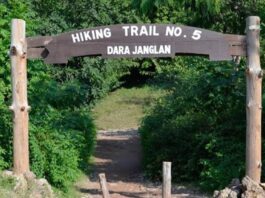 Islamabad’s Hiking Trails: Temporary Closure for Public Security