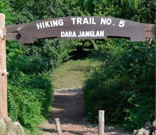 Islamabad’s Hiking Trails: Temporary Closure for Public Security