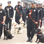 Punjab Police Introduces Adoption Program for Retired Sniffer Dogs Police Dogs