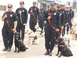 Punjab Police Introduces Adoption Program for Retired Sniffer Dogs Police Dogs