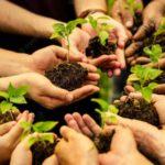 Young Men Set New World Record for Largest Planted Word Formation Plantation-Campaign