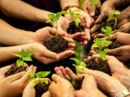Young Men Set New World Record for Largest Planted Word Formation Plantation-Campaign