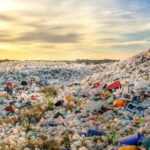 Global Plastic Waste Production and Recycling Crisis