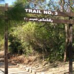 Islamabad Police Uncover Truth Behind Rape Incident in Margalla Hills