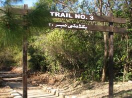 Islamabad Police Uncover Truth Behind Rape Incident in Margalla Hills