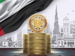 Dubai’s Crypto Regulator Targets BitOasis Amid Rising Scrutiny