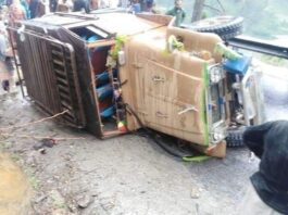 Tragic Accident Claims Lives of Five Tourists in Skardu’s Deosai Area