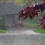 Weather Alert: Heavy Rainfall and Thunderstorms Forecast in Pakistan monsoon