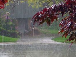 Weather Alert: Heavy Rainfall and Thunderstorms Forecast in Pakistan monsoon