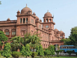 Hailey College Launches MBA 2-Year Afternoon Program punjab-university