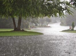 Weather Alert: Monsoon Currents to Bring Rainfall in Pakistan