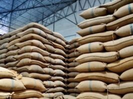 Russian Wheat Shipment Arrives at Karachi Port by Private Sector wheat